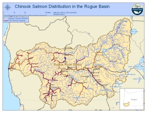 A map of the Rogue River Basin. Borrowed from rogueriverkeeper.org